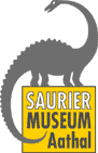 www.sauriermuseum.ch